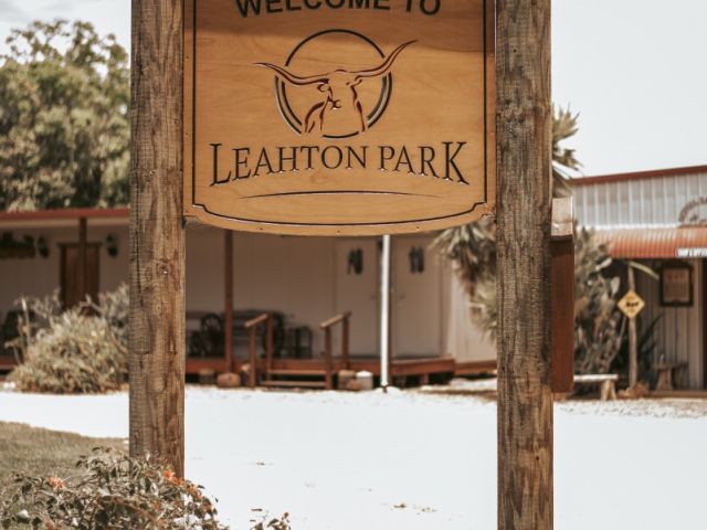 Texas Longhorn Tours