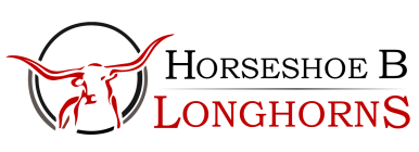 Horseshoe B Longhorns